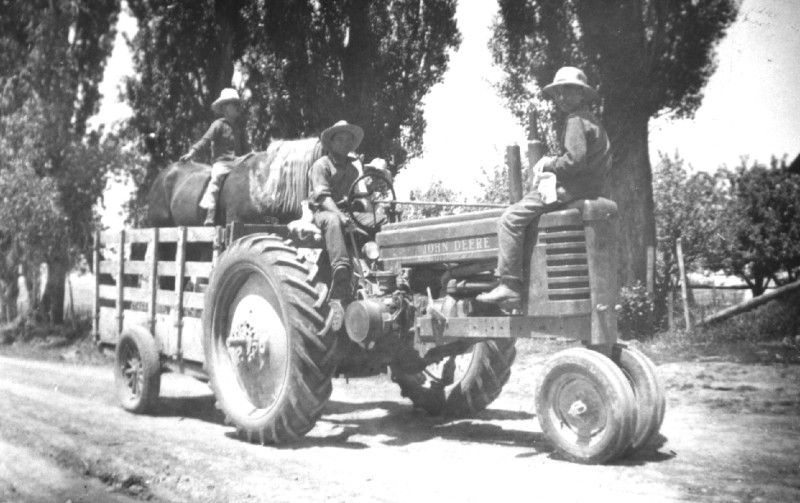tractor.jpg  (95.8 Kb)